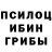 Псилоцибиновые грибы ЛСД Slime_and Love