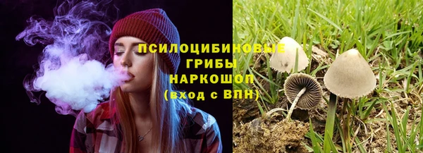 эйфоретик Алзамай