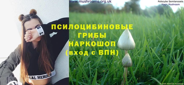 винт Абдулино